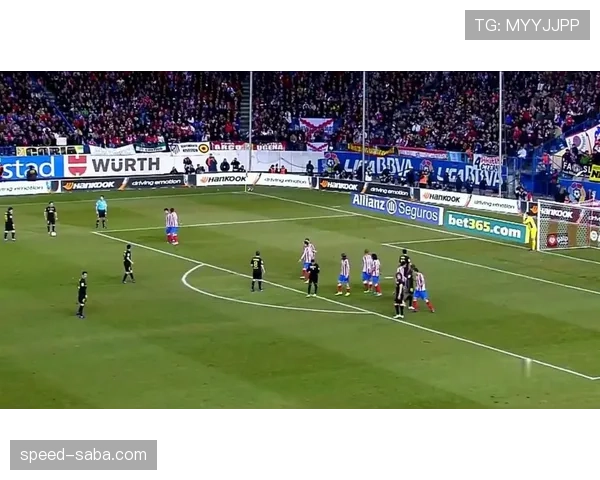 帕尔默与阿尔瓦雷斯：轮换定位如何塑造二人的战术价值分野