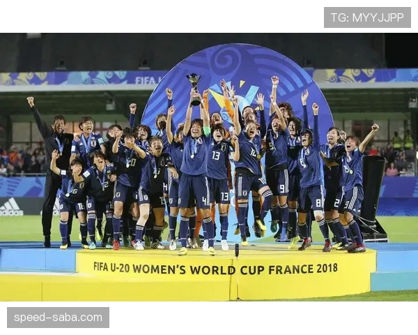 日本世界杯32强赛程回顾：休斯敦比赛信息整理